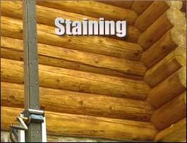  Fairfield County,  South Carolina Log Home Staining